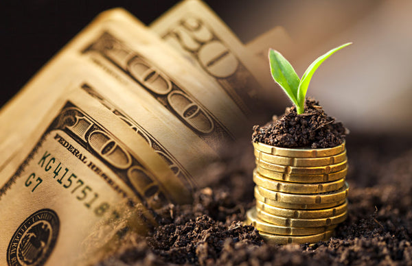 A VETERAN’S GUIDE TO STARTING AN ONLINE BUSINESS (GETTING A SMALL BUSINESS LOAN)