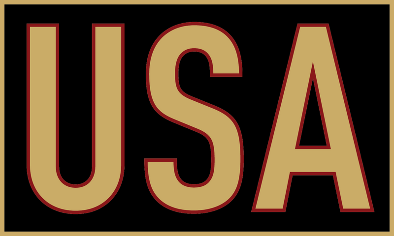 Gold & Black USA Sticker